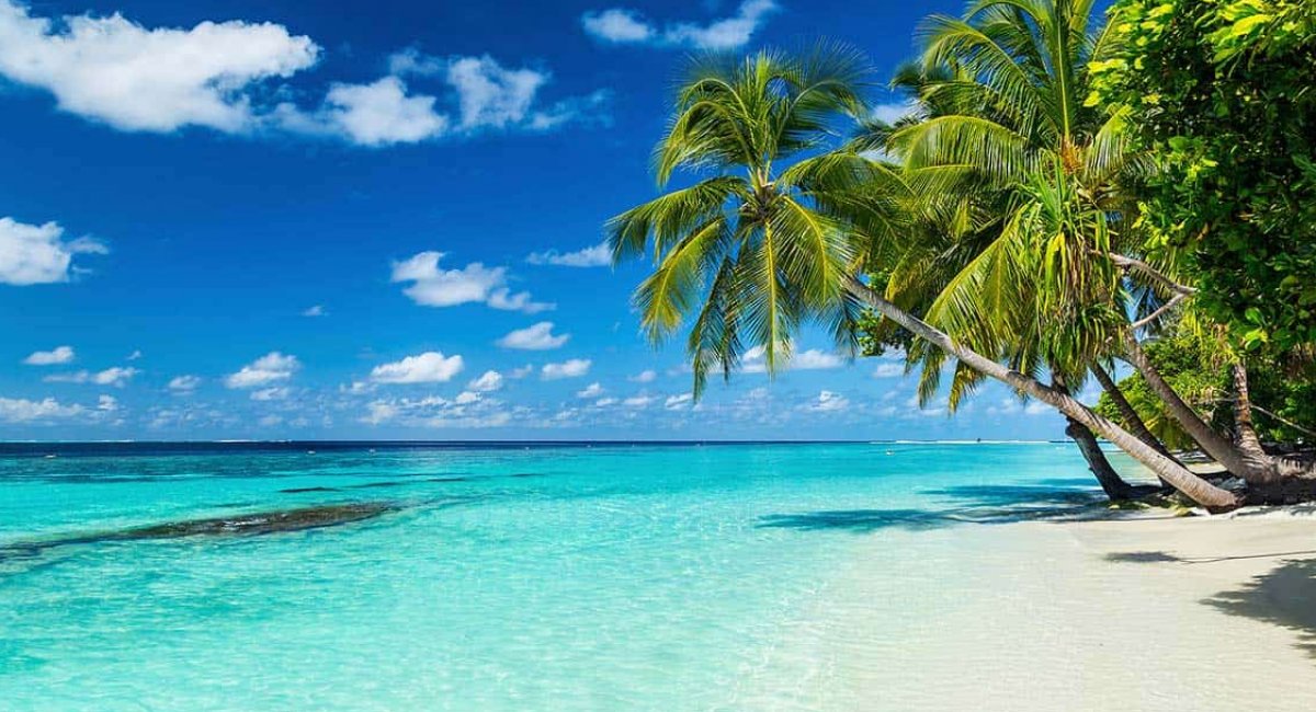 Caribbean Beach Holiday image